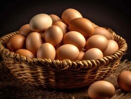 قیمت رسمی تخم مرغ اعلام شد/ گرانتر نخرید + جدول و جزئیات