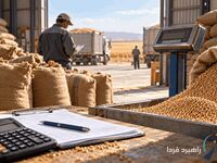 خبر خوب برای گندمکاران/ رقم خرید تضمینی اعلام شد