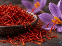زعفران امسال کیلویی چند می‌شود؟ / فصل برداشت نزدیک است