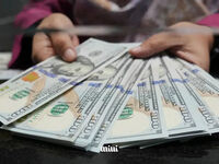 قیمت دلار و تتر امروز ۳۱ شهریور ۱۴۰۵ / دلار در کانال ۲۳۱ هزار تومان + جدول